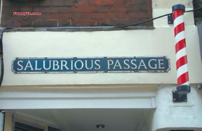 Salubrious Passage, Swansea